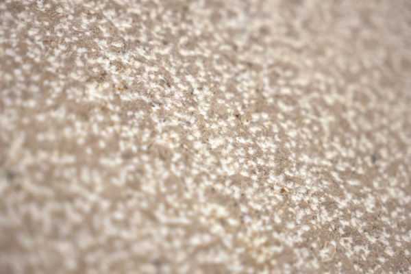 Bouchardée Siana Beige www.mineralstones.fr Nice Cannes Antibes Cagnes-sur-Mer