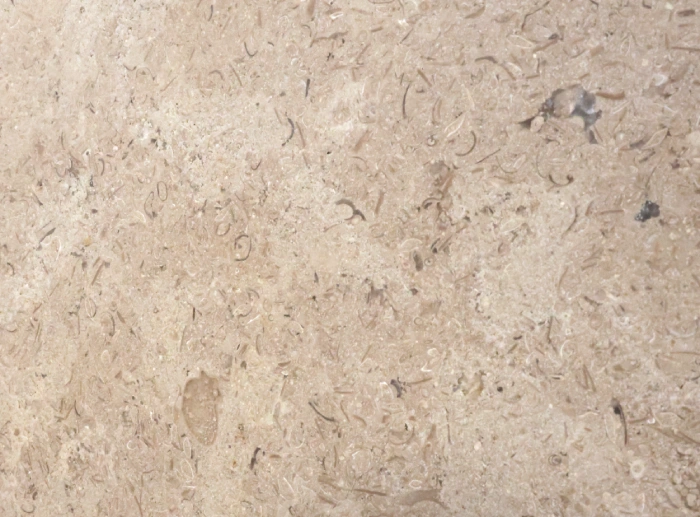 brossée siana beige